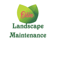 OLIN LANDSCAPE