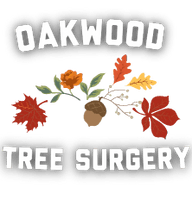 Oakwood tree surgery 