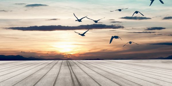 Birds flying over a wooden deck at sunset with mountains in the background.