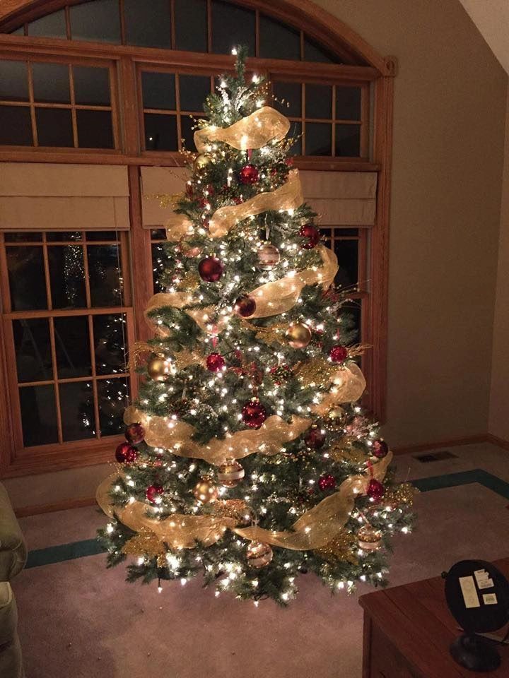 //img1.wsimg.com/isteam/ip/9220f964-7219-4392-8183-cd6b44707010/Christmas%20Tree.jpg/:/rs=w:1300,h:800