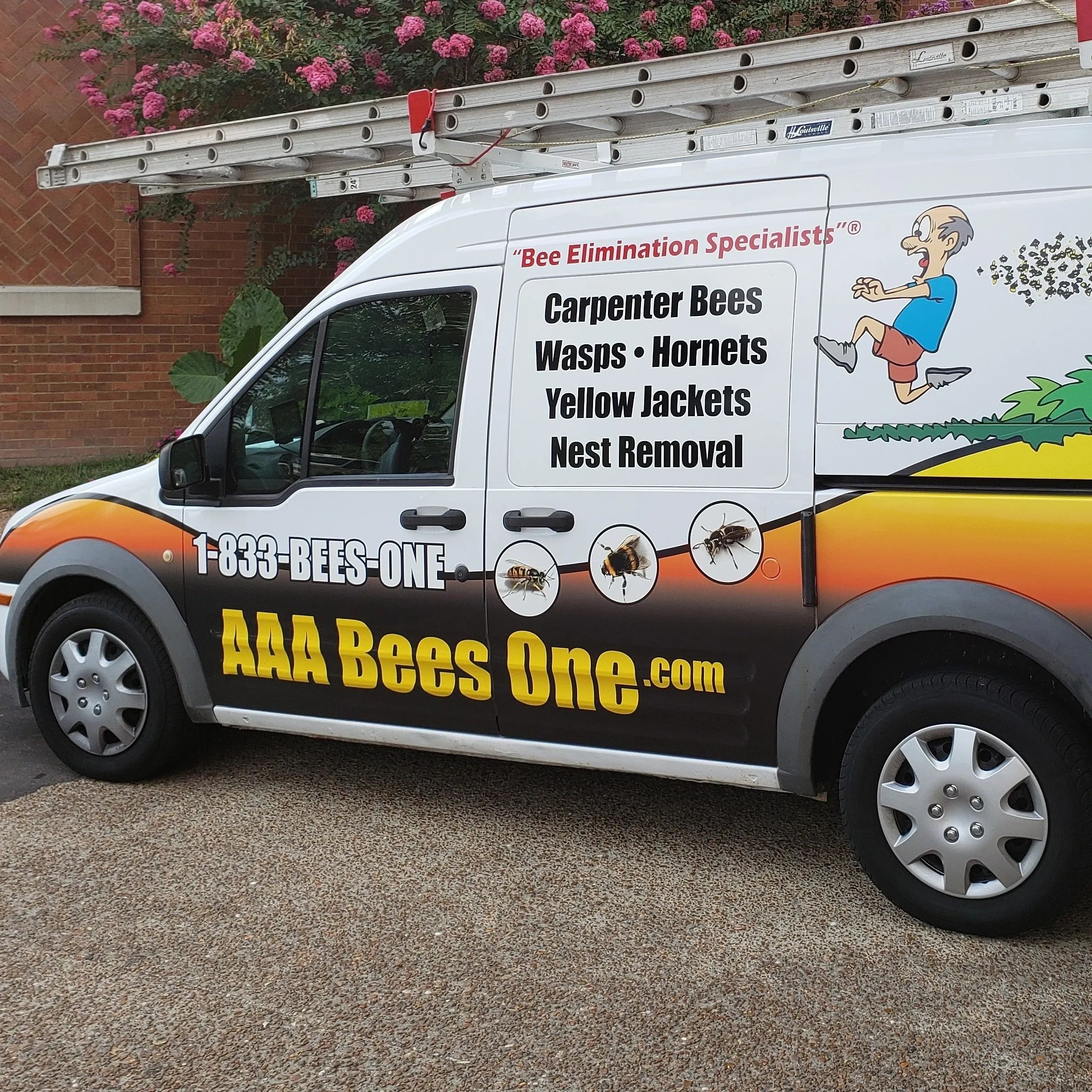 AAA Bees One, Carpenter Bee Service, Wasp and Hornets Nest Removal