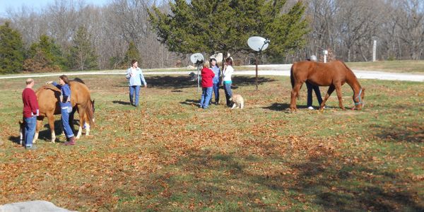 Animal Communication Class