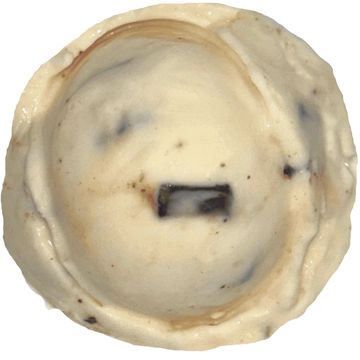 A close-up of a creamy, round food item with dark chunks.