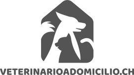 Veterinario a domicilio