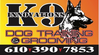 K9 Innovations