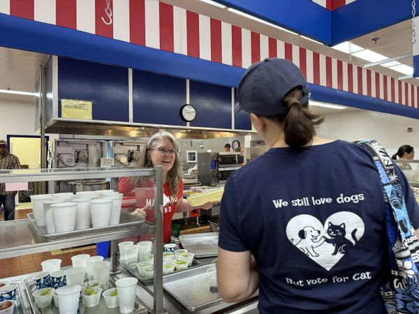 Woman wearing a shirt with a cat and dog vote slogan at a food counter.