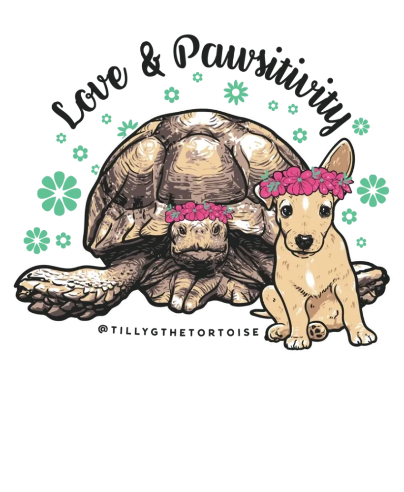 Tortoise and puppy best friends