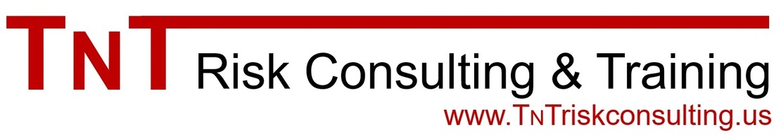 TNT Risk Consulting