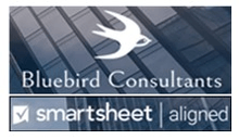 Bluebird Consultants