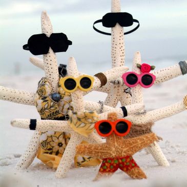 The Starfish Family at the beach!