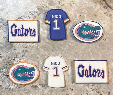 Gator Fan First Birthday