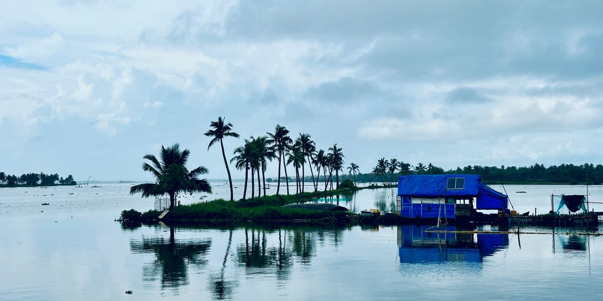 kadamakudy island tour