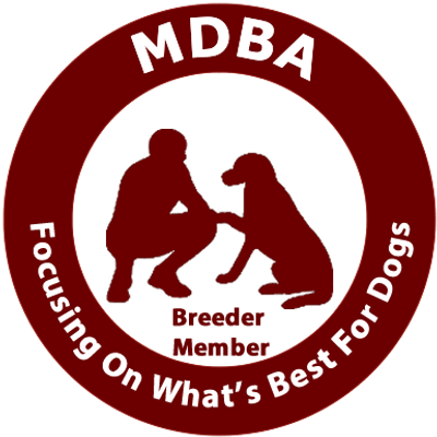 MDBA Breeder Member