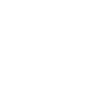 SEGURIDAD Y RASTREO PROFESIONAL