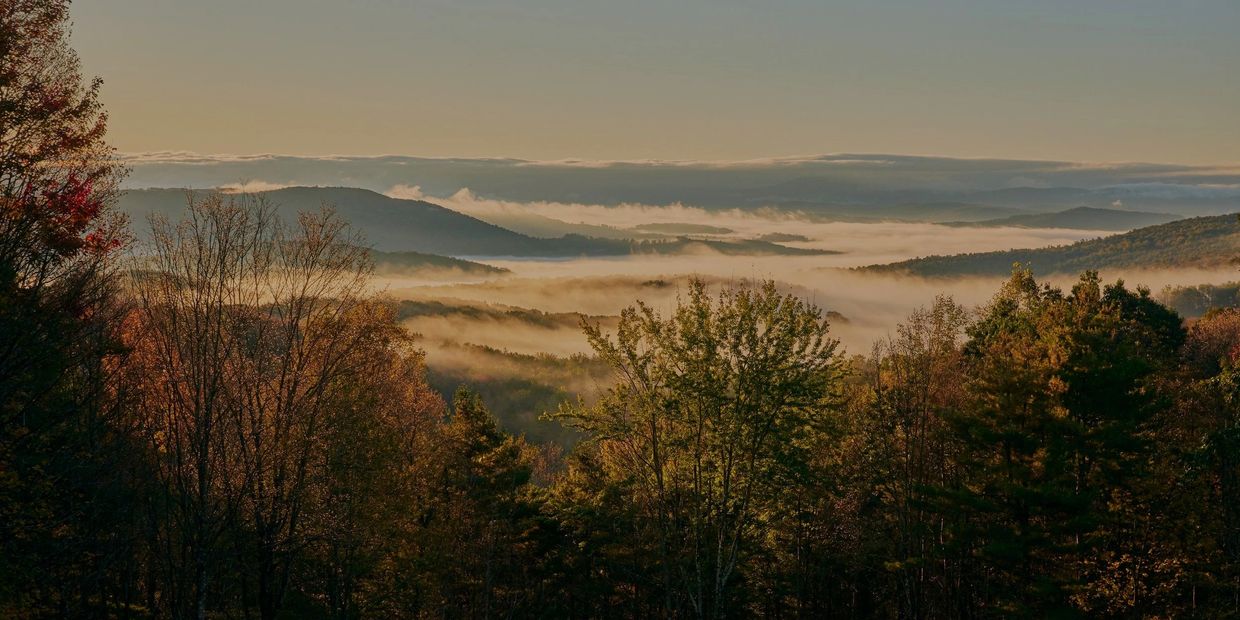 An aerial view of misty mountains