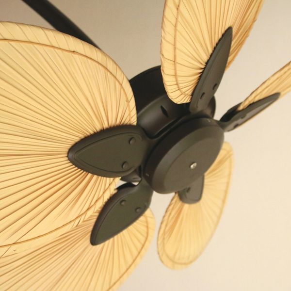 ceiling fan in bedroom