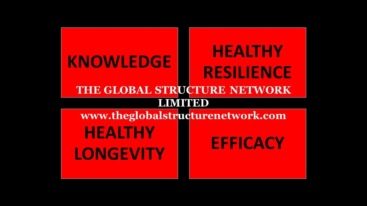 Products, Services, and Capital to enable Consumers to Thrive