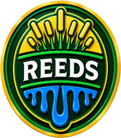 Reeds