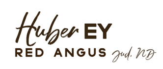 Huber EY Red Angus