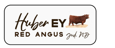 Huber EY Red Angus