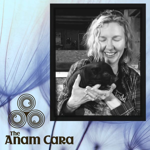 Anam cara sould friend animal communication