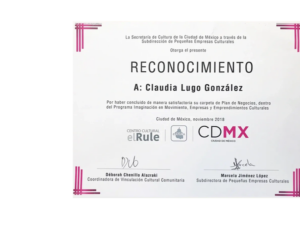 Claudia Lugo visual artist  knitted wire sculptures. Award at Mexicoi City