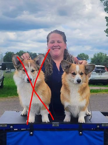 A woman poses happily with two Corgi dogs outdoors, one dog marked with a red X.