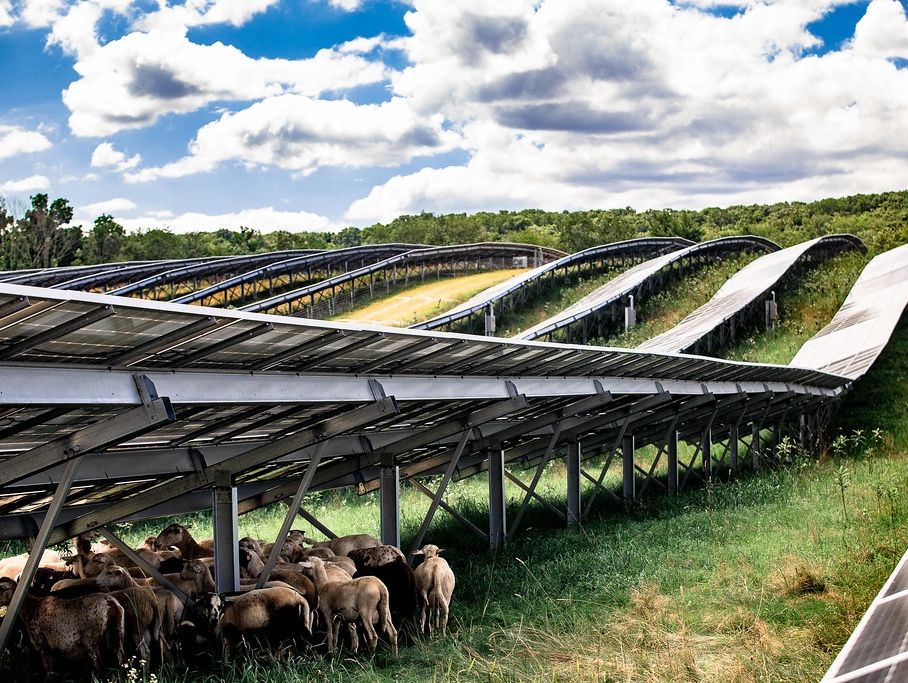 Image courtesy of AgriSolar Clearinghouse