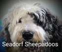 Seadorf Sheepadoos
