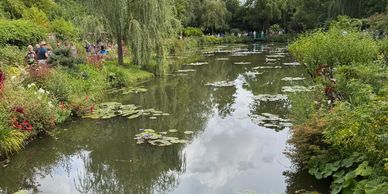 Serene pond with lily pads and greenery.