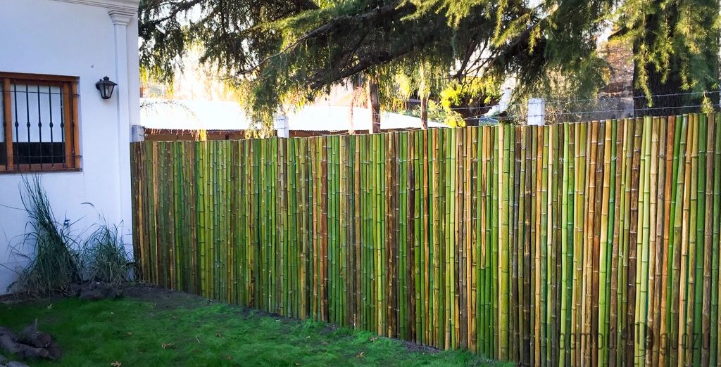 Paneles de Bambú para Cercos y Techos