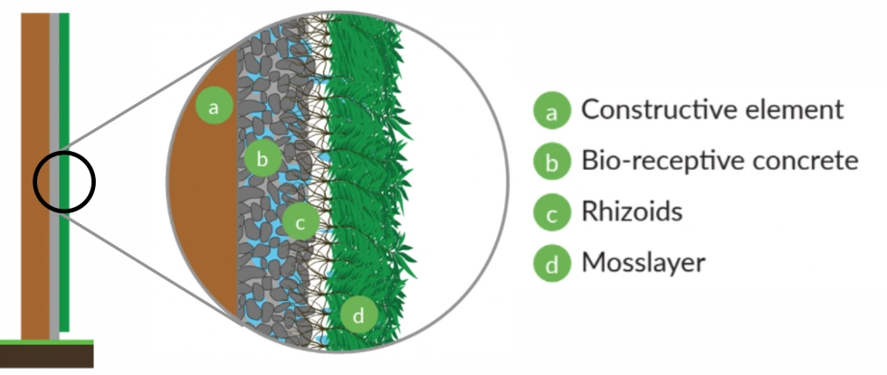 Hormigón biorreceptivo | Respyre