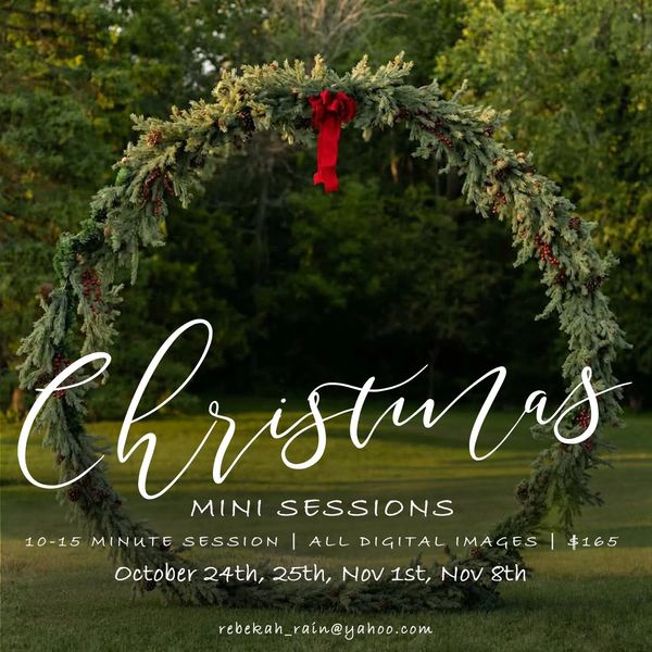 Christmas Mini Sessions