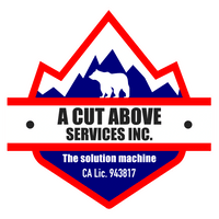 3169459000019582248gc