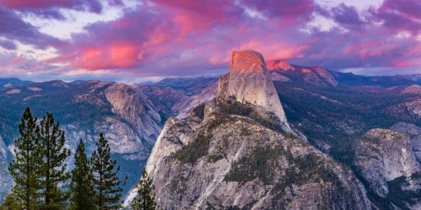 Sunset over Yosemite's Half Dome with pink clouds and pine trees.