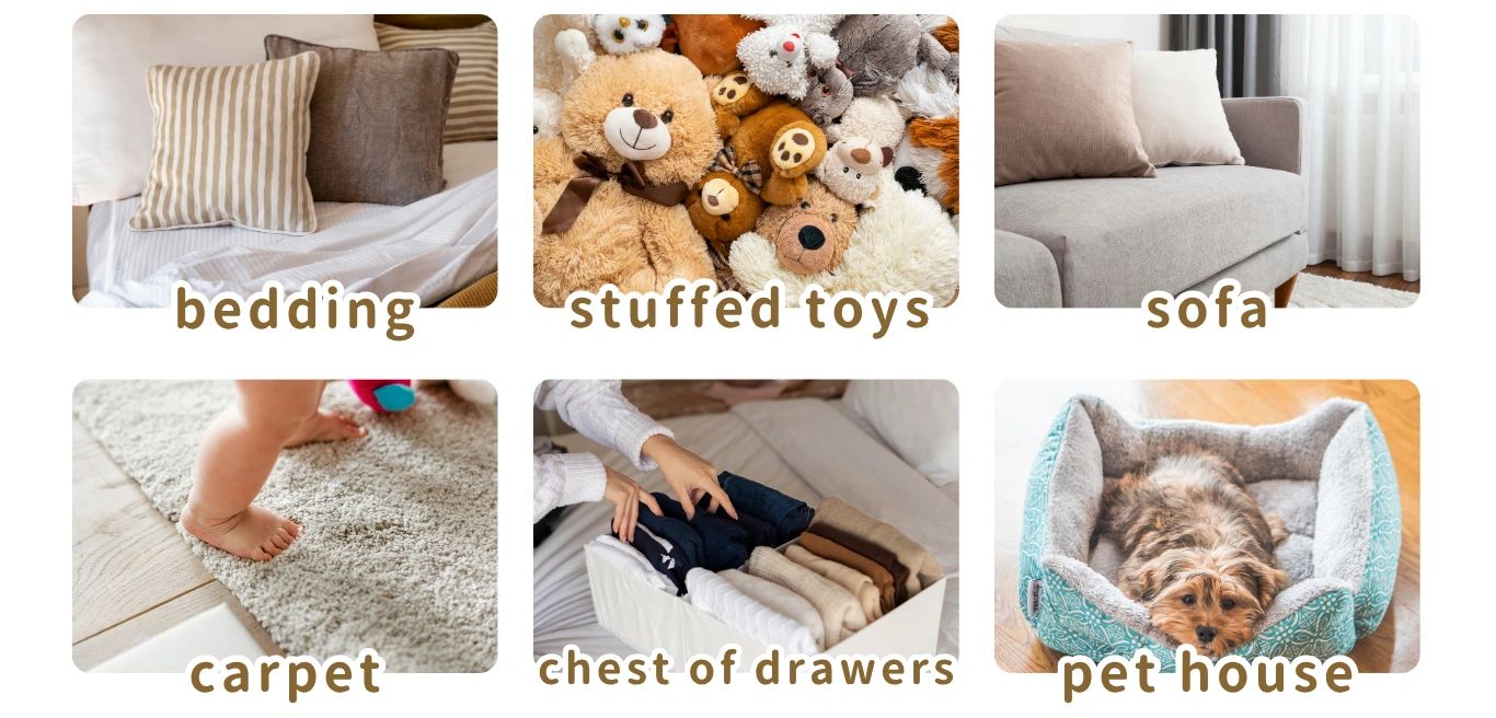 Favorite locations in the home for dust mites