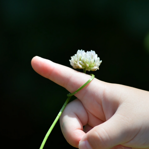 Therapy Durango, Therapist Durango, EMDR Durango, PTSD therapy Durango, Grief therapy Durango CO.