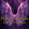 Prana Ceuticals Energy Medicine