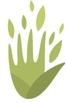 Living Stone Outreach
