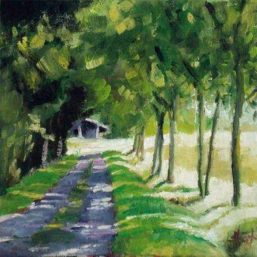 Path between trees, dappled with sun.