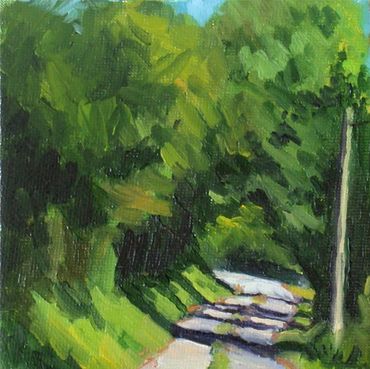 A sunlit pathway surrounded by lush greenery.