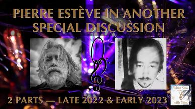 Pierre Estève on podcast What Now with Simo