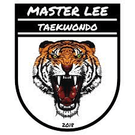 Master Lees Taekwondo Before & After School Program