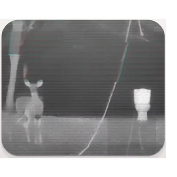 Black and white night vision image of a deer near a reflective object.