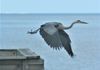 Three, Jump !!!