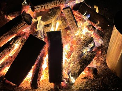 Bright flames burning wooden logs in a campfire at night.