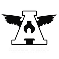 ANGEL WINGS REPAIR