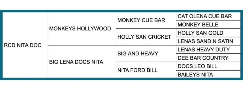 A detailed pedigree chart for RCD Nita Doc showing lineage across four generations.