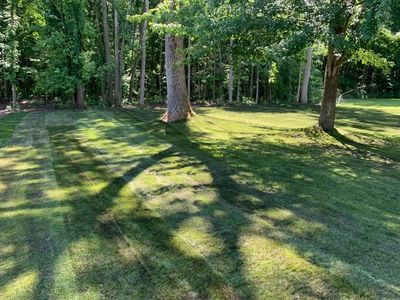 Back yard was cleared of 20 plus trees, graded and conditioned with SOD grass installed.