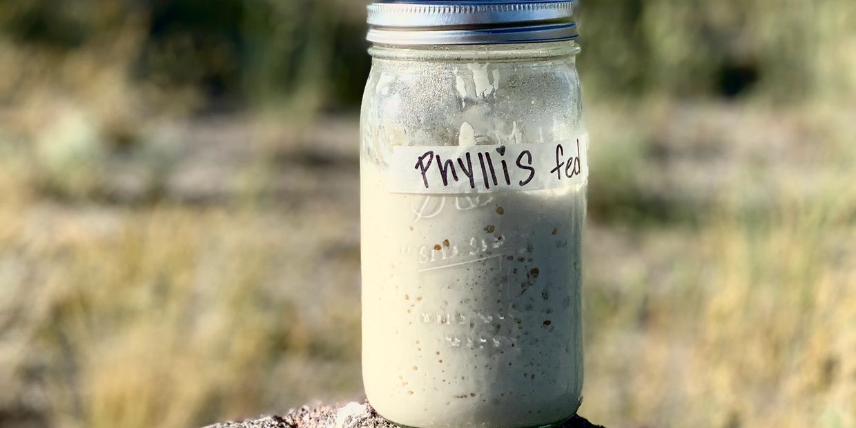 Phyllis, the sourdough starter